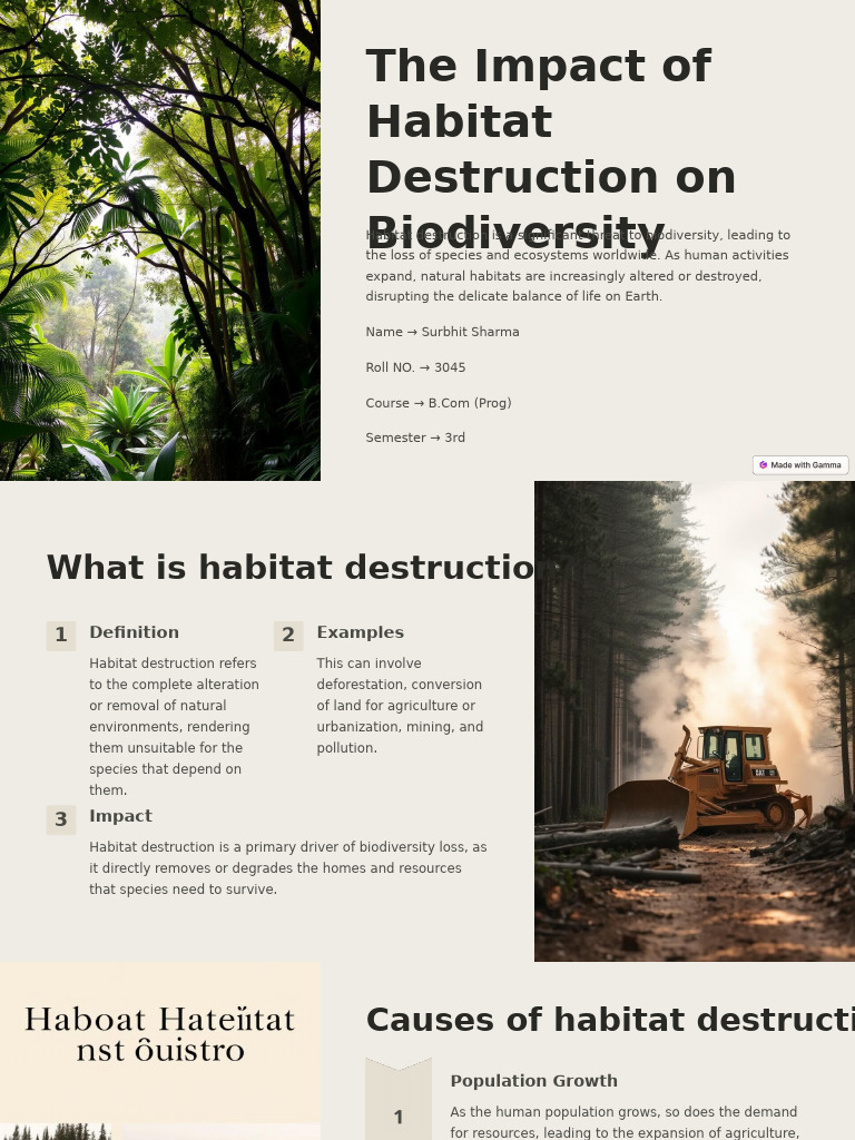 Habitat Destruction's Impact on Biodiversity | PDF | Habitat ...
