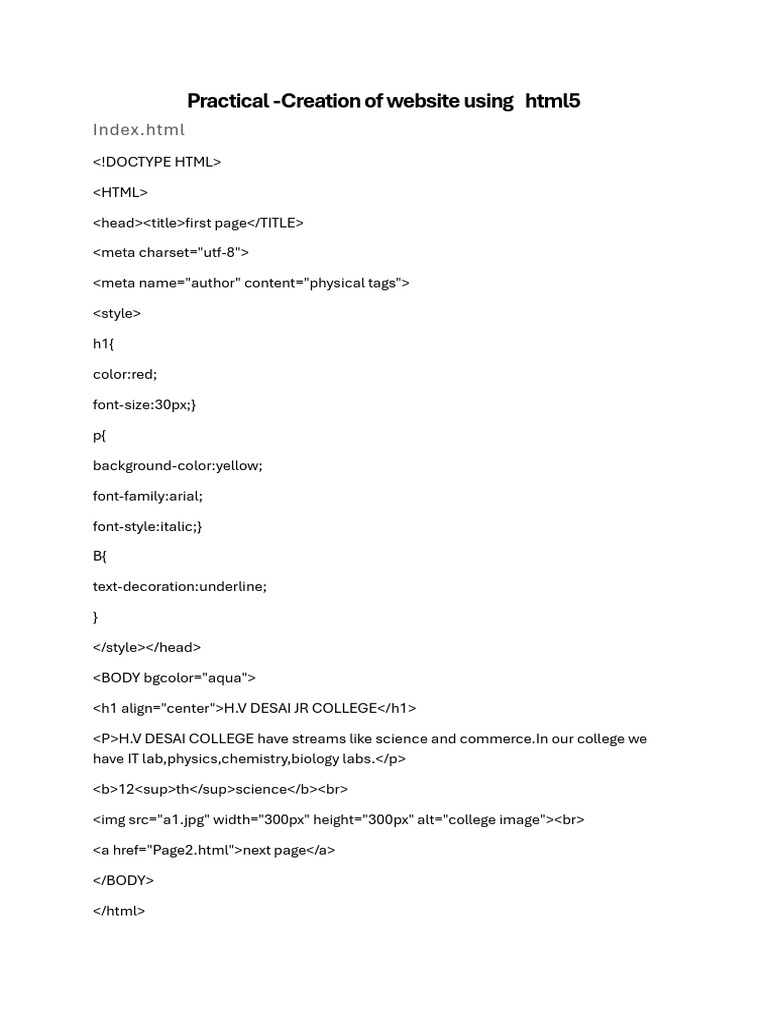 HTML5 Web Development Projects Guide | PDF | Software Engineering ...