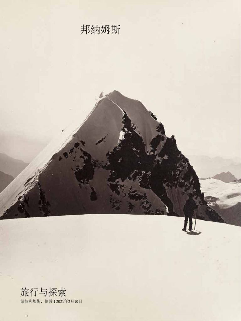 631243622 Travel Exploration BONHAM s 2021 PDF Translated | PDF, image size:768x1024