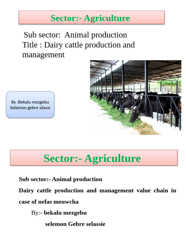 Dairy Cattle Production Management Guide | PDF | Dairy Cattle | Dairy