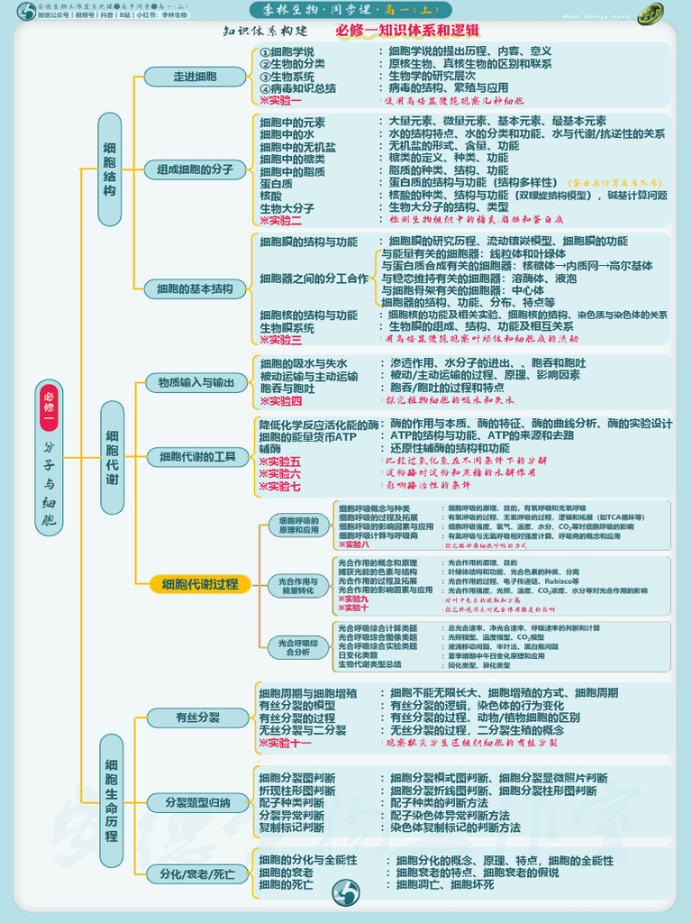 高一高二上学期期末复习思维导图(5) | PDF, image size:768x1024