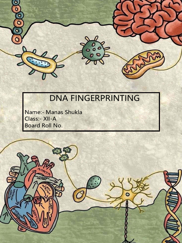 Project File Cover Page12 | PDF