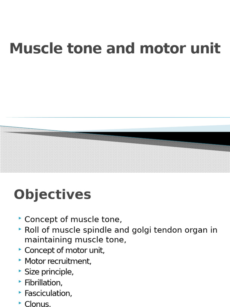 Understanding Muscle Tone and Motor Units | PDF | Motor Neuron ...
