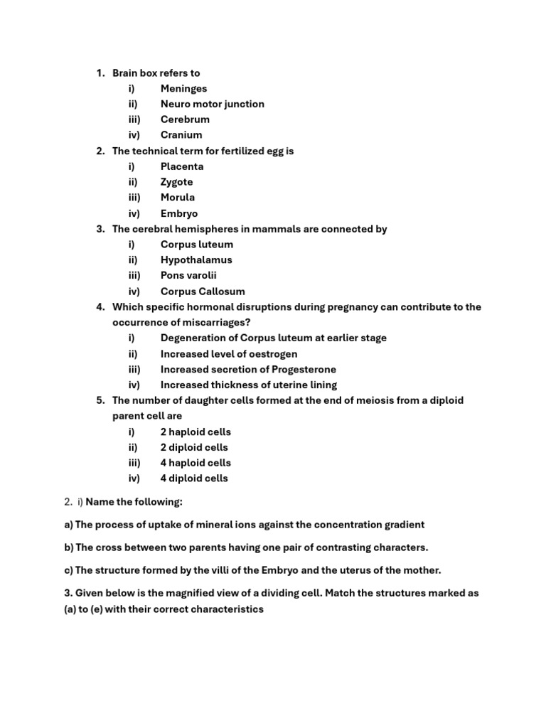 Revision | PDF