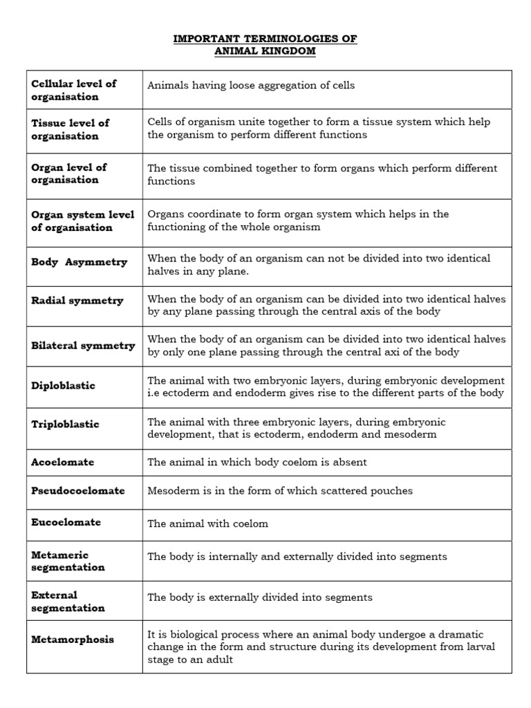 Key Terms in Animal Biology | PDF | Zoology | Biology