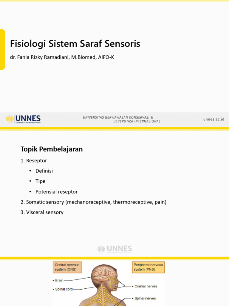 Fisiologi Reseptor Sensoris Manusia | PDF
