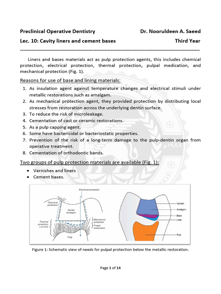 Cavity Liners and Cement Bases Explained | PDF | Dental Composite ...