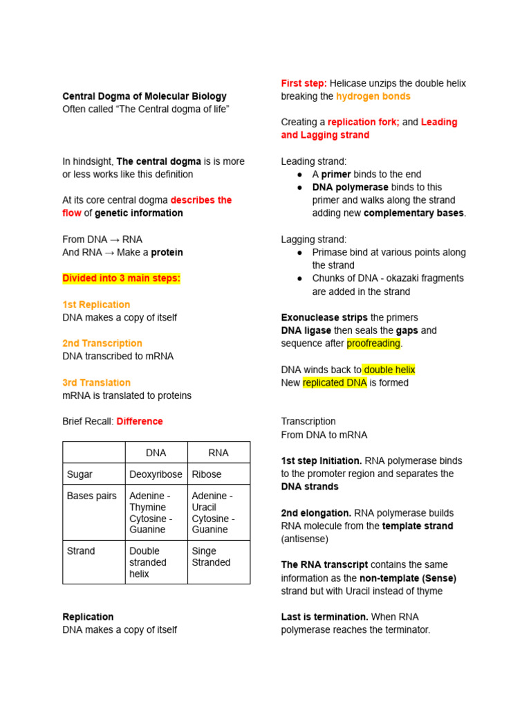 Central Dogma: DNA to Protein Process | PDF | Dna | Rna