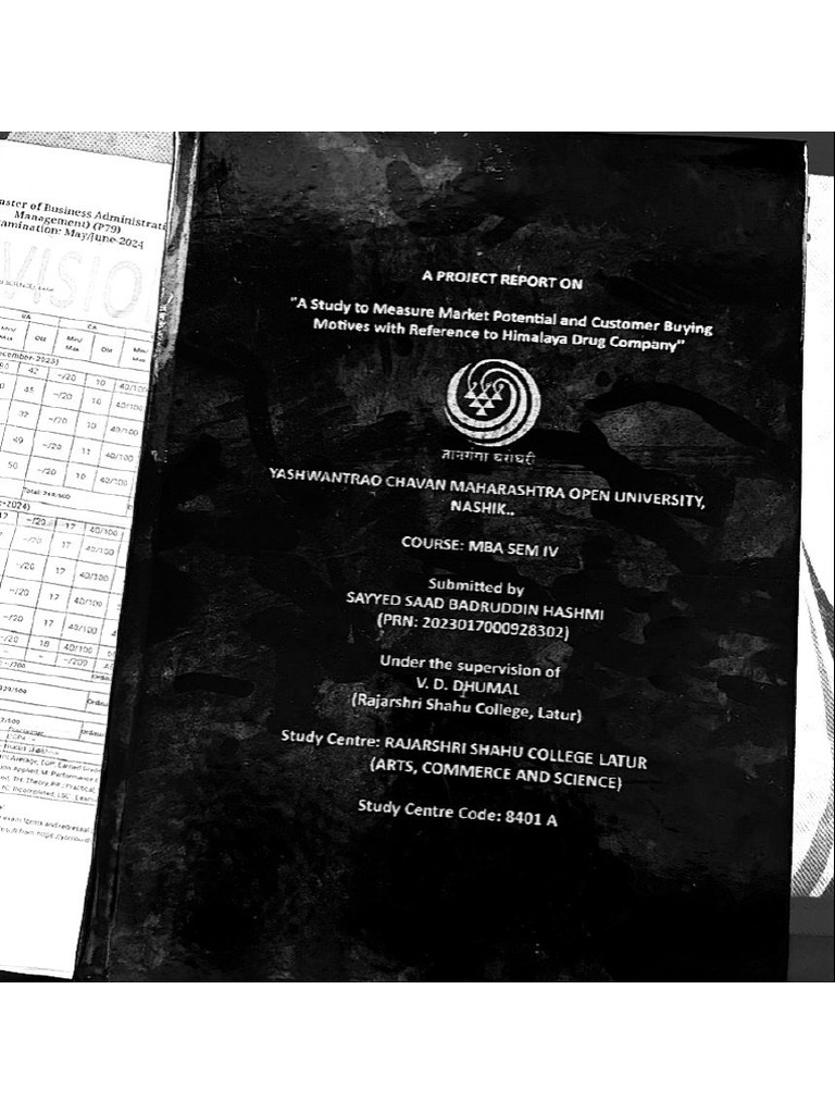Mba Project 2 | PDF