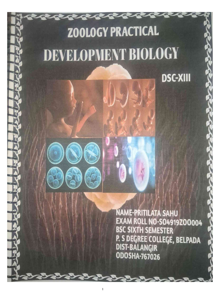 Developmental Biology 6th Sem | PDF