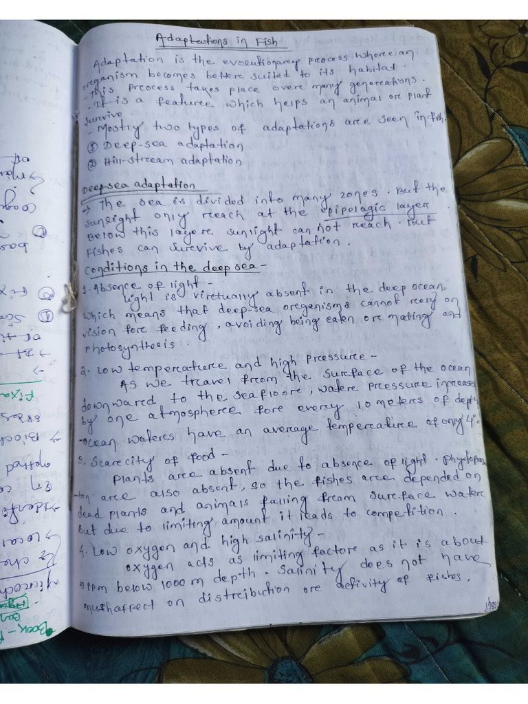 Adaptions in Fish and Fish Migration Notes | PDF