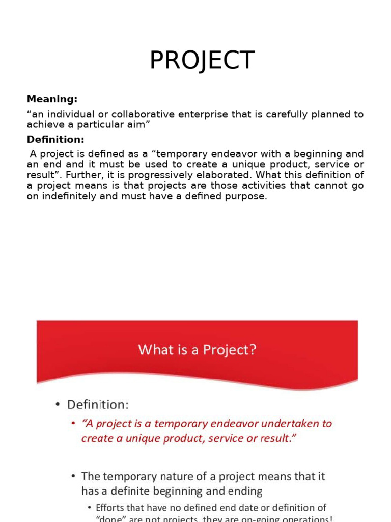 Project Management Overview and Tools | PDF | Project Management | Business