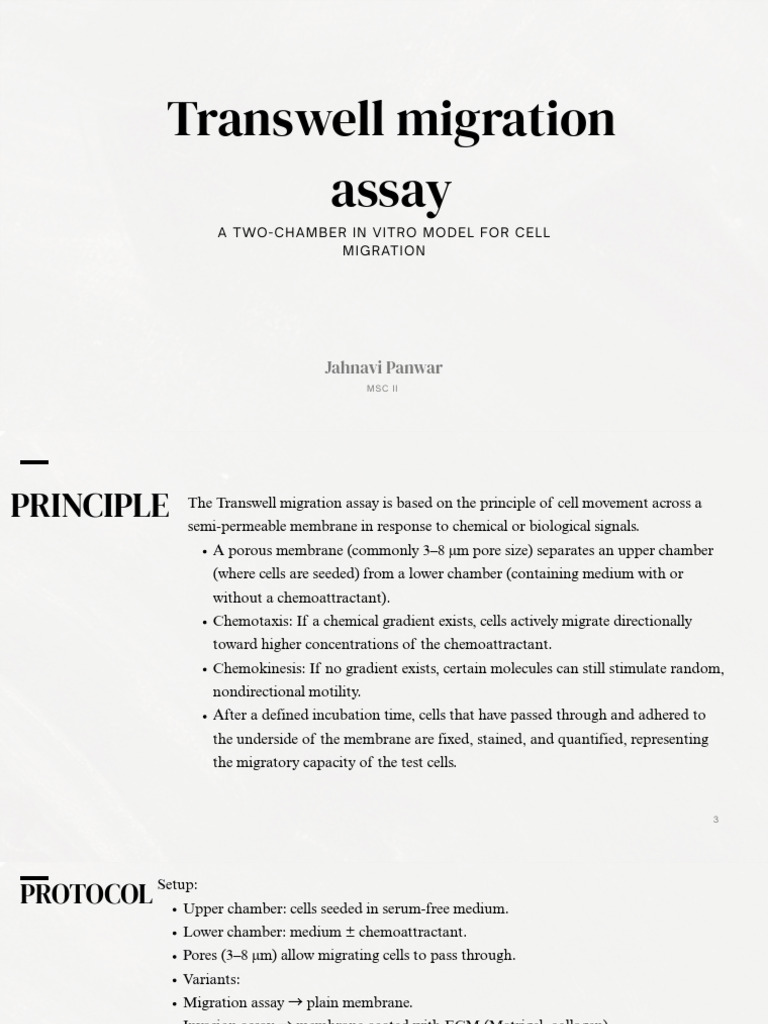 Transwell Migration Assay Overview | PDF | Chemotaxis | Cell (Biology)