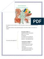 Funciones Del Organismo, Sistema de Órganos