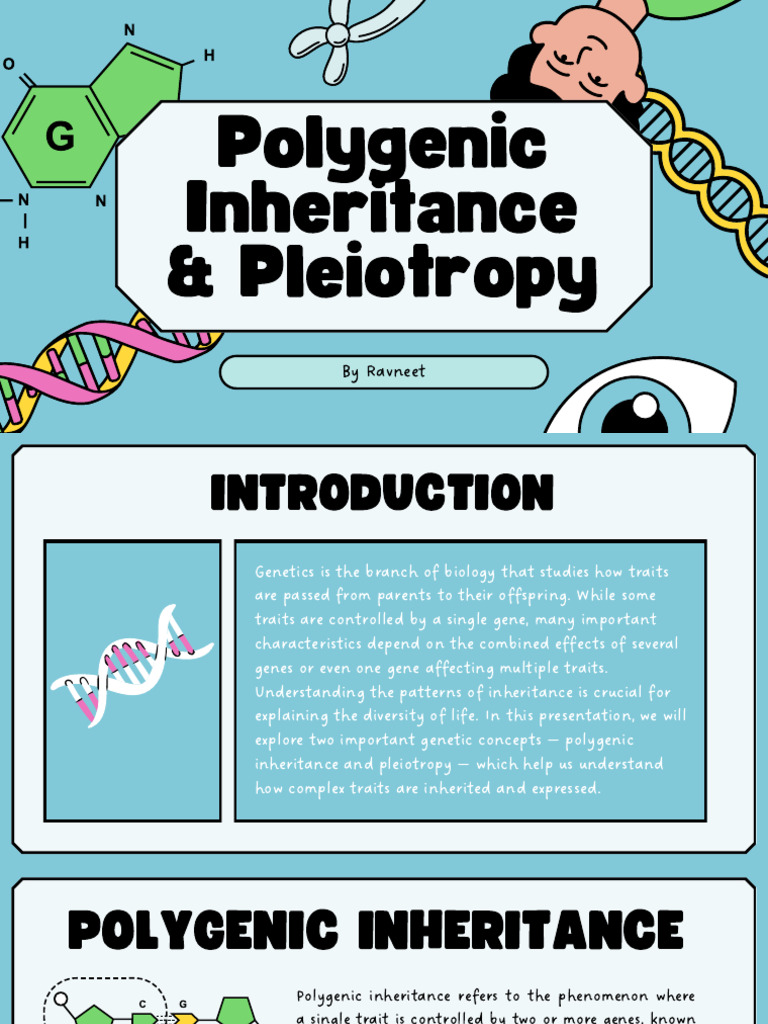 Polygenic Inheritance and Pleiotropy Explained | PDF | Genotype ...