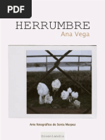 Herrumbre de Ana Vega