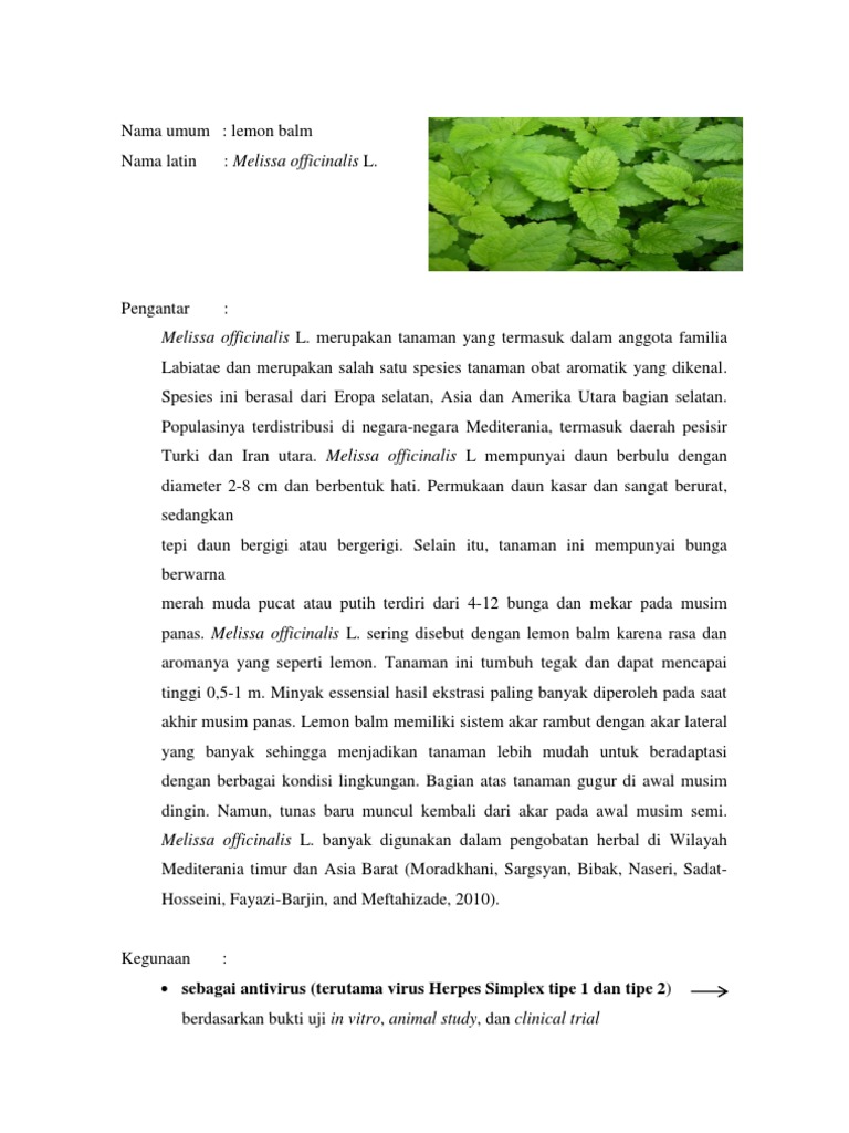 Tugas Herbal