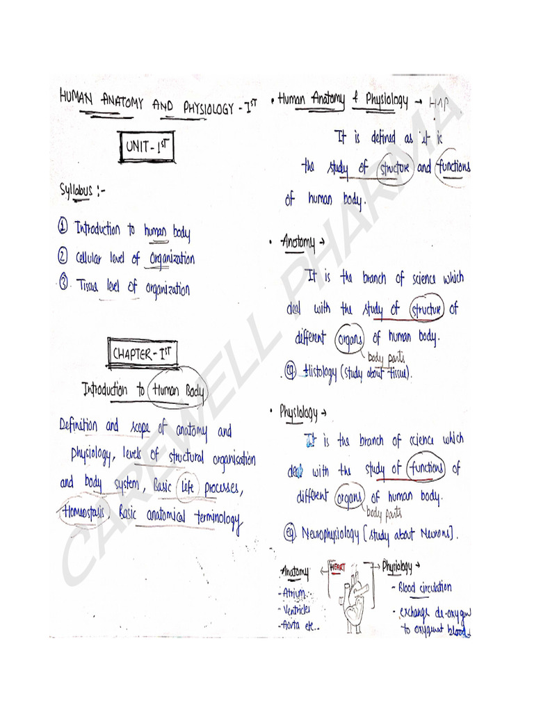 Chapter 1 Unit 1 Human Anatomy And Physiology 1 B Pharmacy 1st Sem