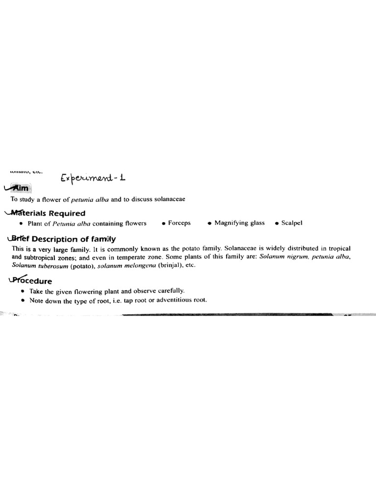 Experiment 1 | PDF