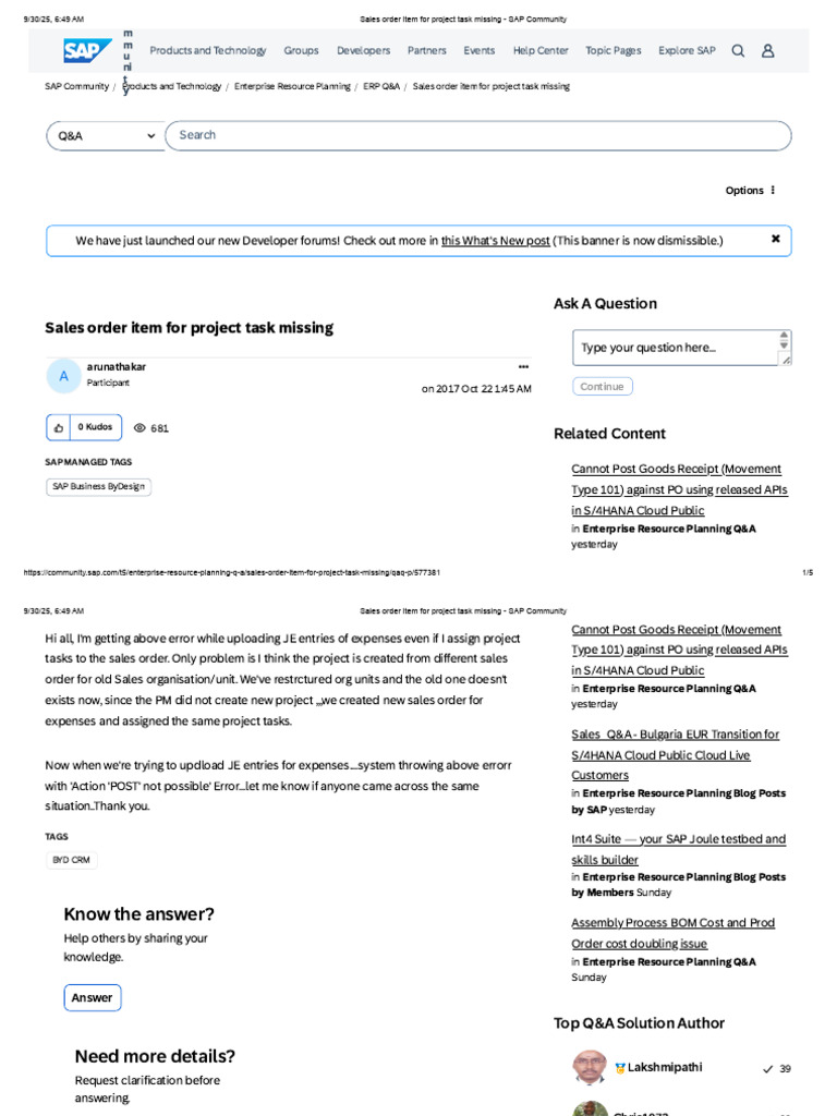 Sales Order Item For Project Task Missing - SAP Community | PDF ...