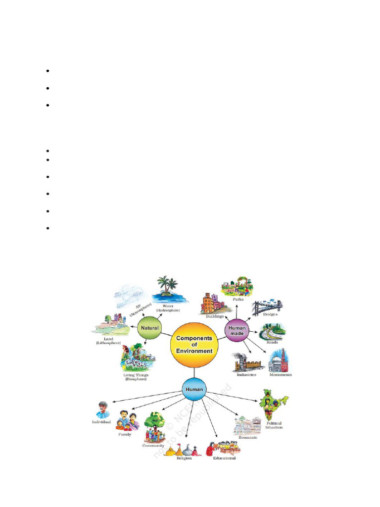 Understanding Environment and Ecosystems | PDF | Natural Environment ...