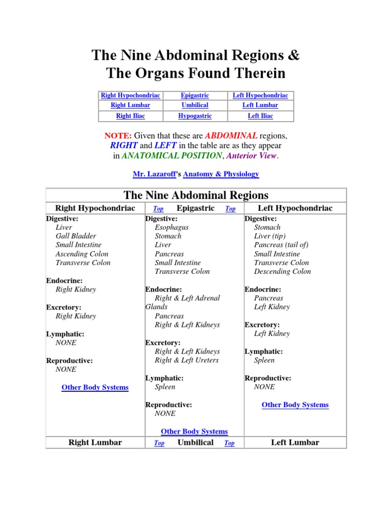 Nine Abdominal Regions and Organs | PDF