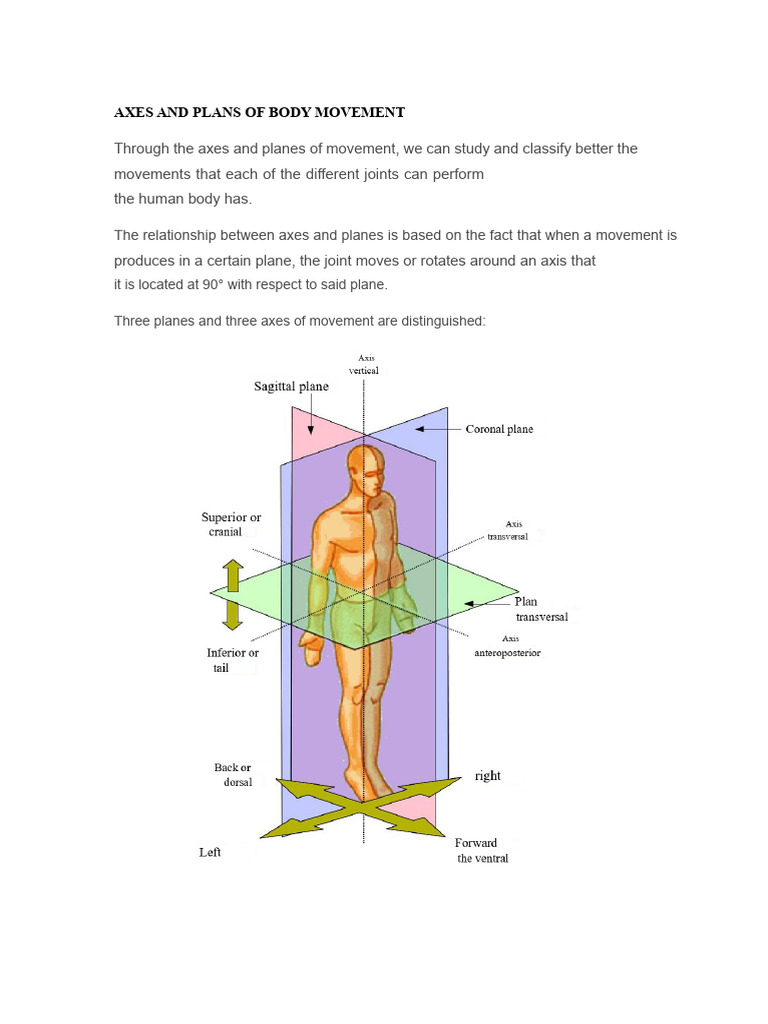 Body Movement: Axes and Planes Explained | PDF | Anatomical Terms Of ...