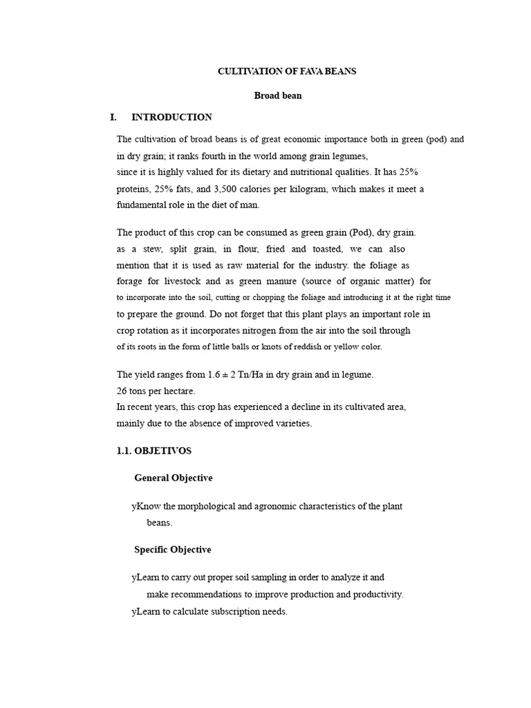 Fava Bean Cultivation Guide | PDF | Legume | Fertilizer