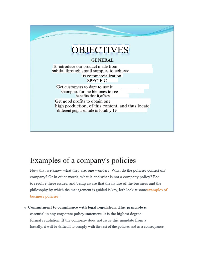 Examples of Company Policies and Rules | PDF | Policy | Business