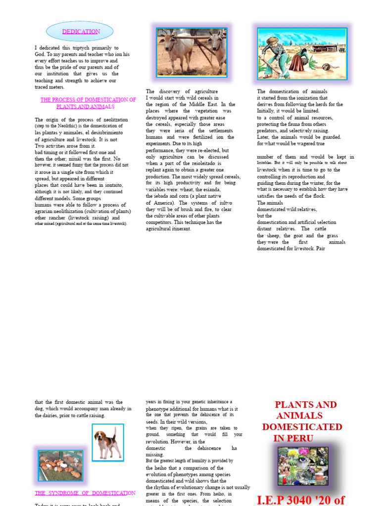 Domestication of Plants and Animals | PDF | Domestication | Agriculture