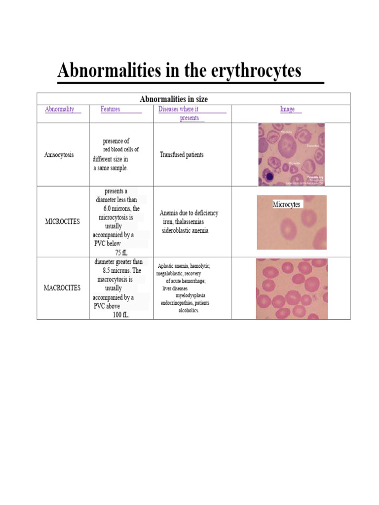 Erythrocyte Abnormalities Overview | PDF | Anemia | Red Blood Cell