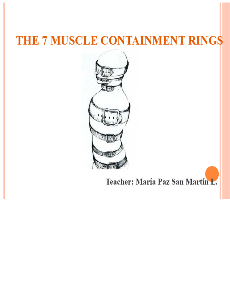 Understanding the 7 Muscle Containment Rings | PDF | Primate Anatomy ...