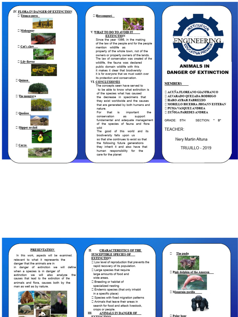 Endangered Flora and Fauna Conservation | PDF | Species | Endangered ...