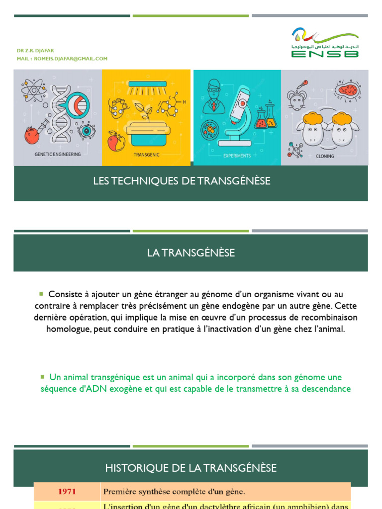 Techniques de Transgénèse Animale | PDF | Clonage | Gène