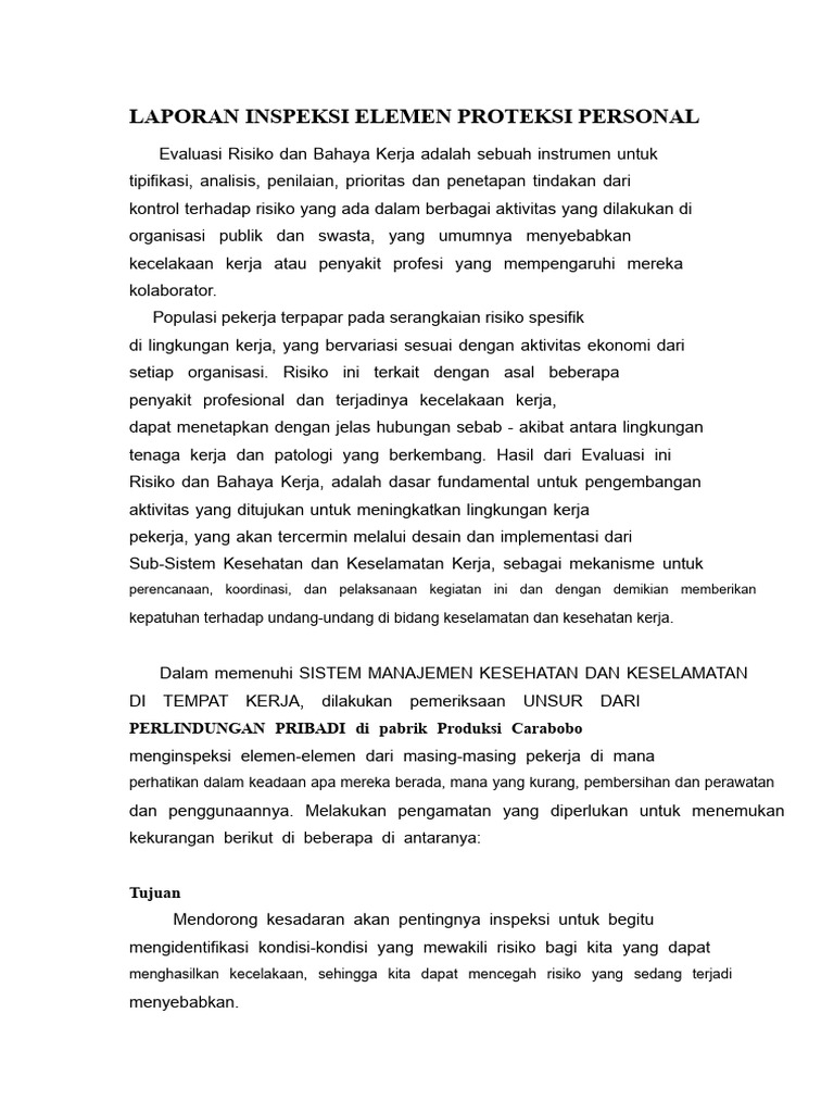 Inspeksi Perlindungan Personal di Pabrik | PDF