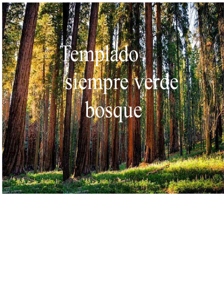 Características de Bosques Templados | PDF | Clima templado | Botánica