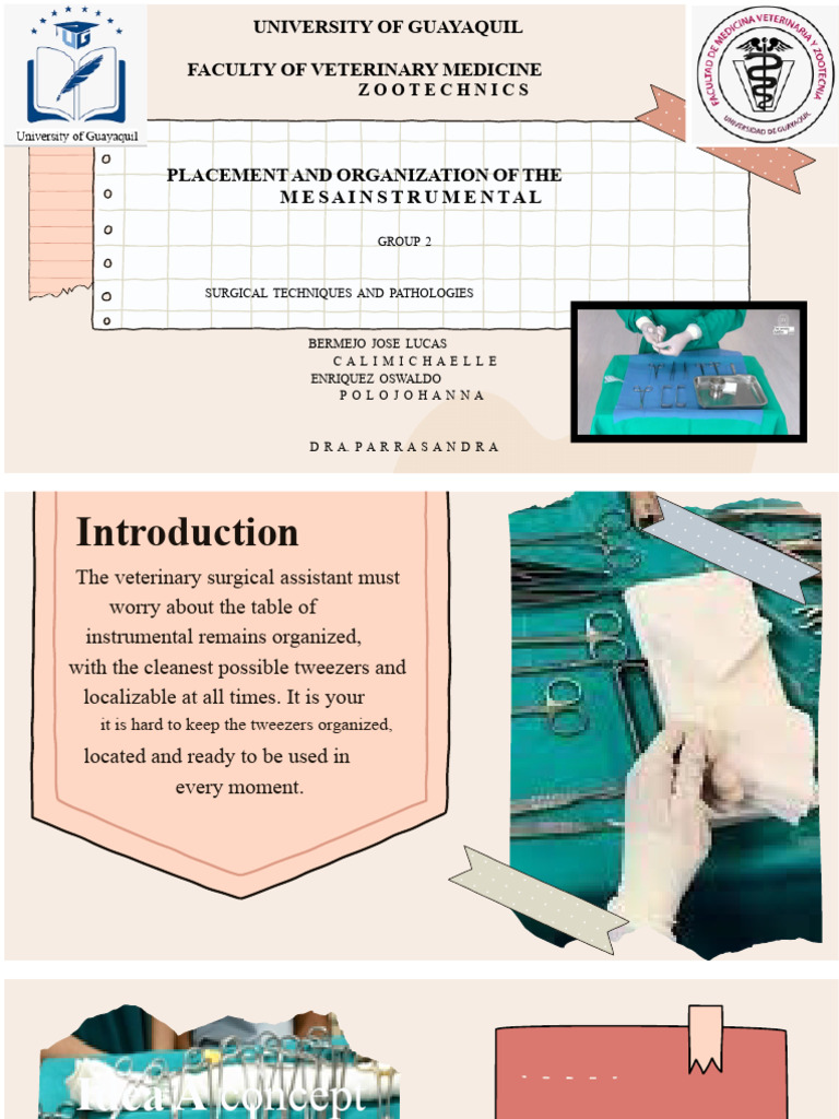 Surgical Instrument Table Setup Guide | PDF | Surgery | Medical Specialties