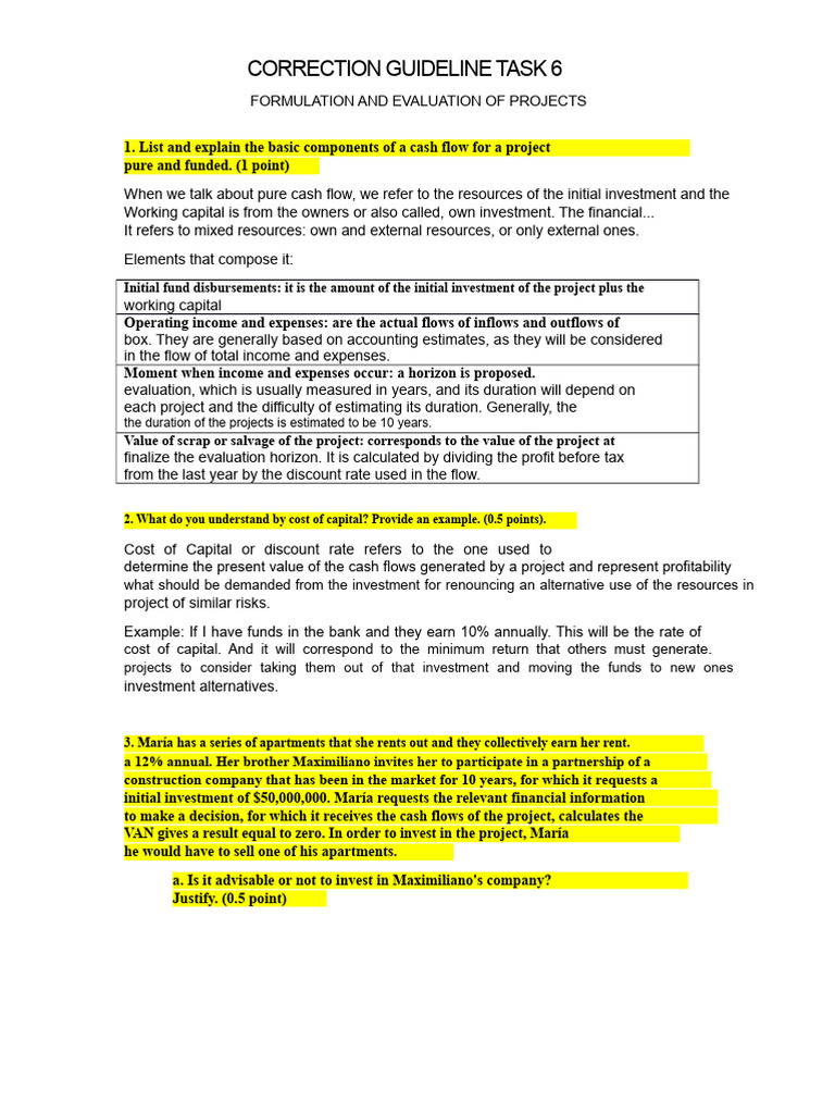 Guideline Task 6 Eval Proj | PDF | Net Present Value | Cost Of Capital