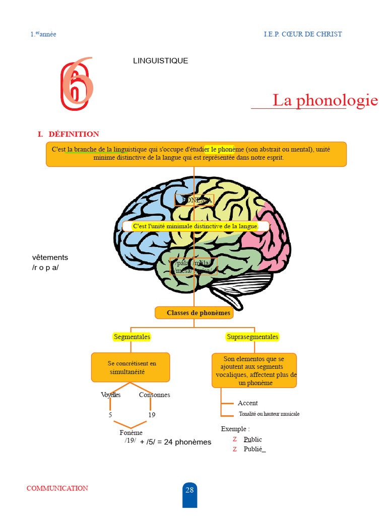 Introduction à la phonologie et phonèmes | PDF | Phonologie | Phonème