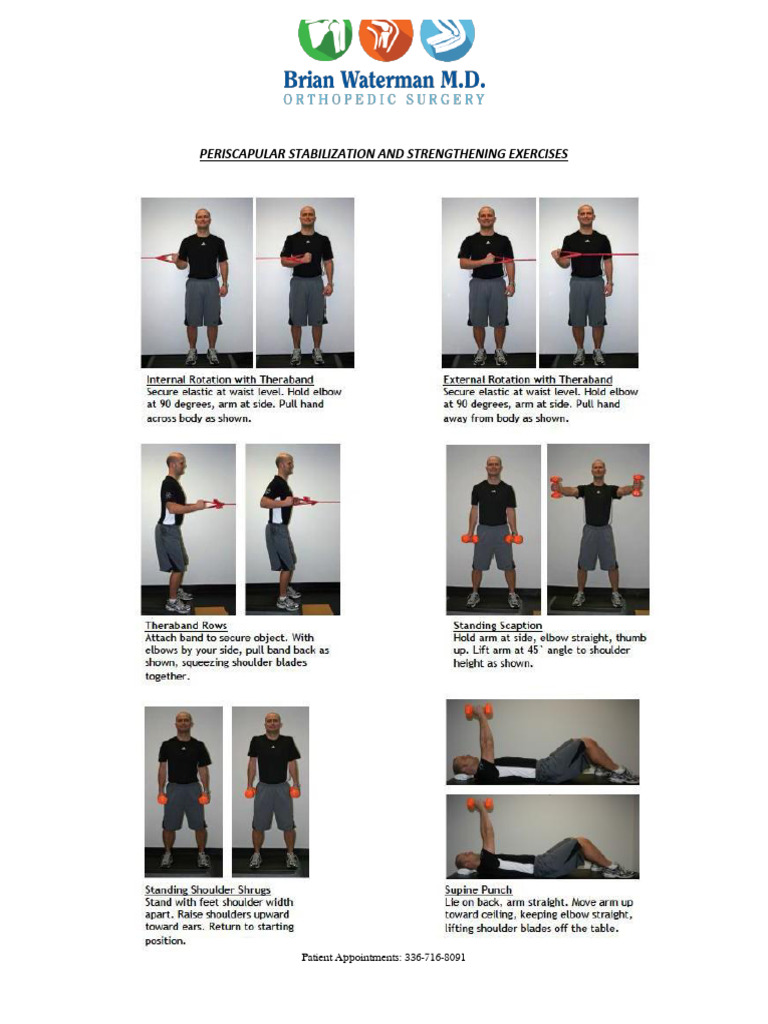 Scapular Exercises | PDF