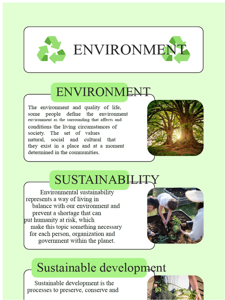 Understanding Environmental Sustainability | PDF