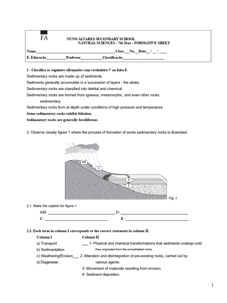 CN7C Formative Sedimentary Rocks | PDF | Rock (Geology) | Sedimentary Rock