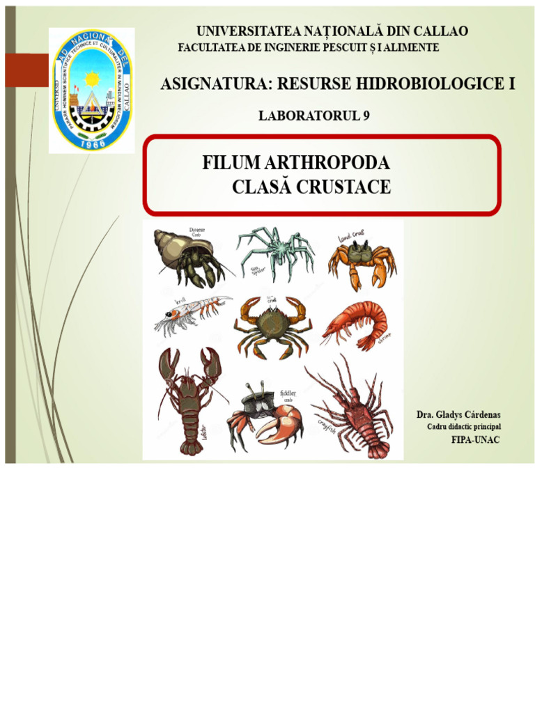 Lab. 9. CRUSTACELE | PDF
