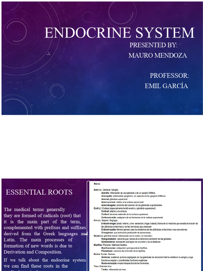 Endocrine System Overview and Terminology | PDF | Hyperglycemia ...