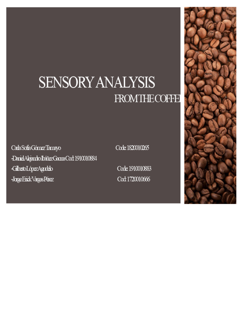 Sensory Analysis of Coffee Preferences | PDF | Taste | Coffee