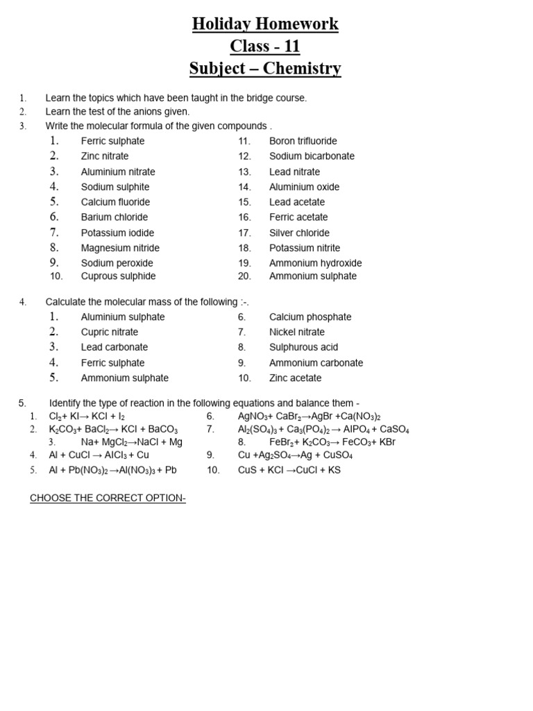 Class 11 Chemistry Holiday Homework | PDF | Mole (Unit) | Nitrate