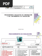 Presentacion Instrumentos de Observacion