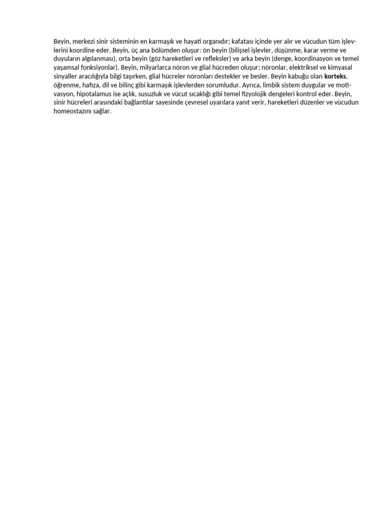Korteks | PDF