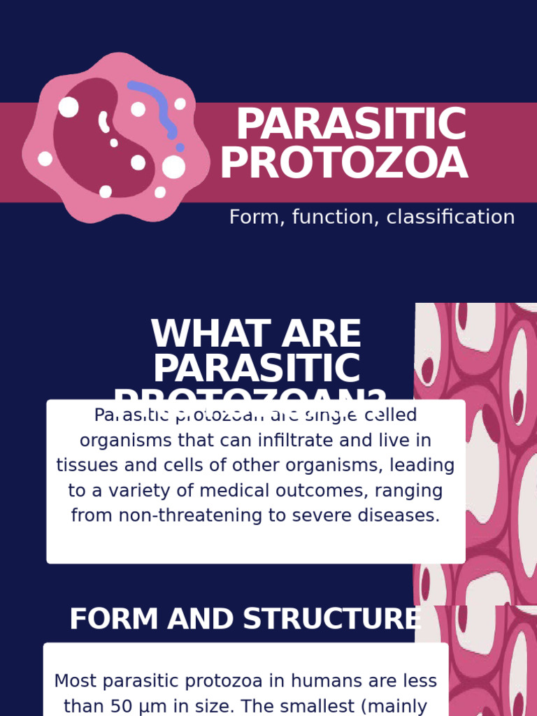 Overview of Parasitic Protozoa | PDF