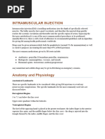 Intramuscular Injection Techniques Guide | PDF | Injection (Medicine)